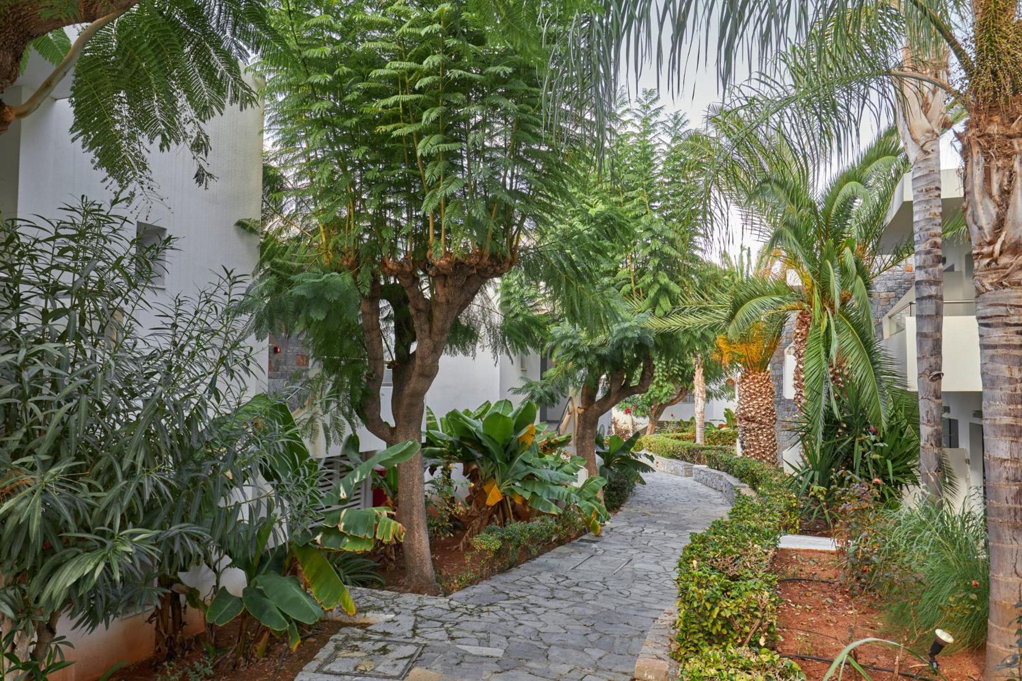Kyknos Beach Hotel & Bungalows Mália Exterior foto