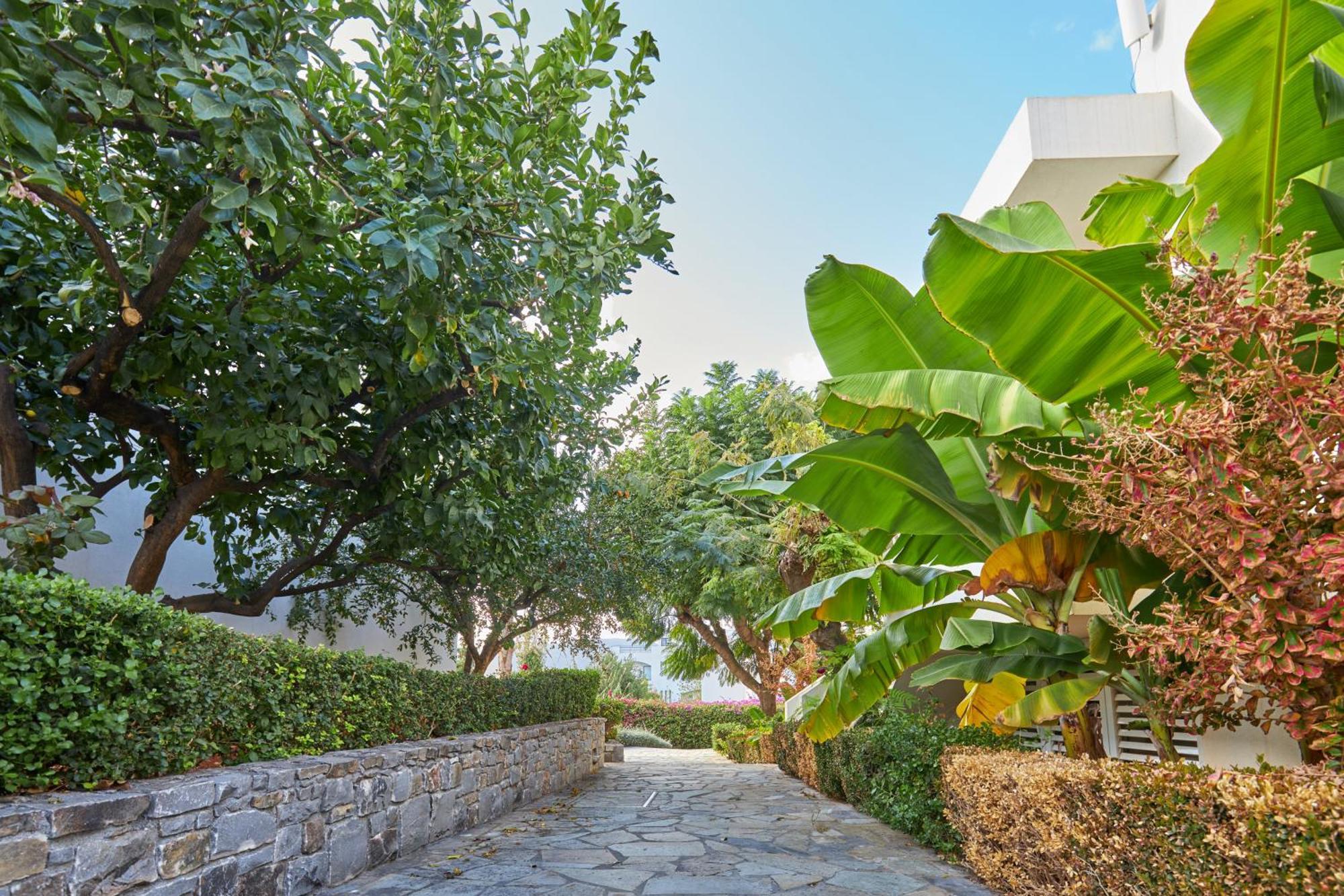 Kyknos Beach Hotel & Bungalows Mália Exterior foto